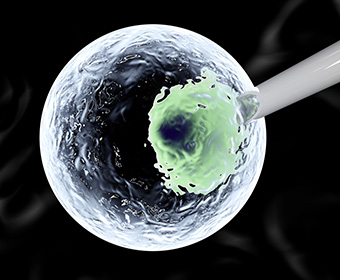 UTSA professor receives $1.5 million grant to study male infertility