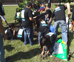 students planting