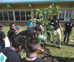 students planting