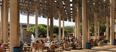Main Campus Sombrilla