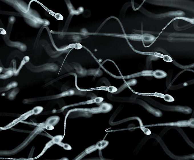 UTSA biologist joins new research center dedicated to sperm epigenomics