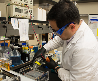 Five UTSA students earn prestigious grant to support STEM research