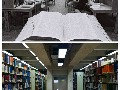 John Peace Library: Then and Now