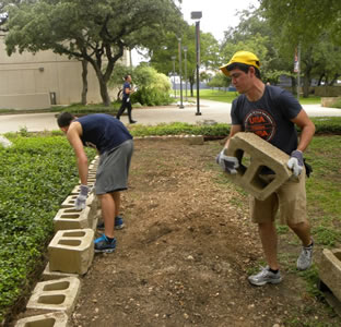 UTSA volunteers