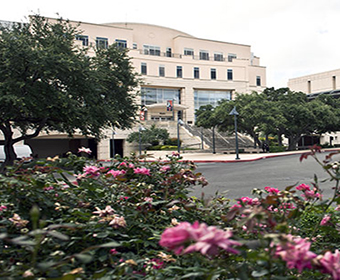 UTSA to offer three new online graduate education certificate programs this fall
