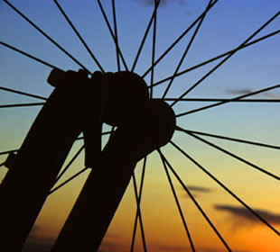 bicycle wheel