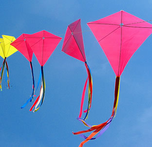 kites