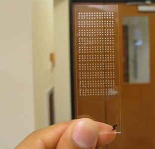 nanochip