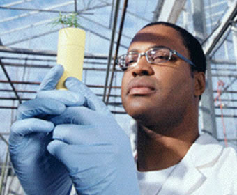 researcher