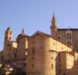 Urbino