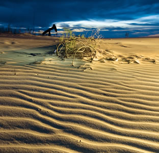 sand dunes