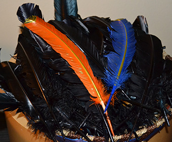 Feathers will be used to symbolize recently deceased Roadrunners.