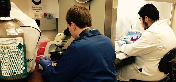 UTSA photo of the day: In Dr. Seshu's lab