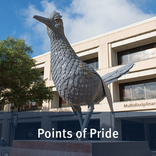 Points of Pride