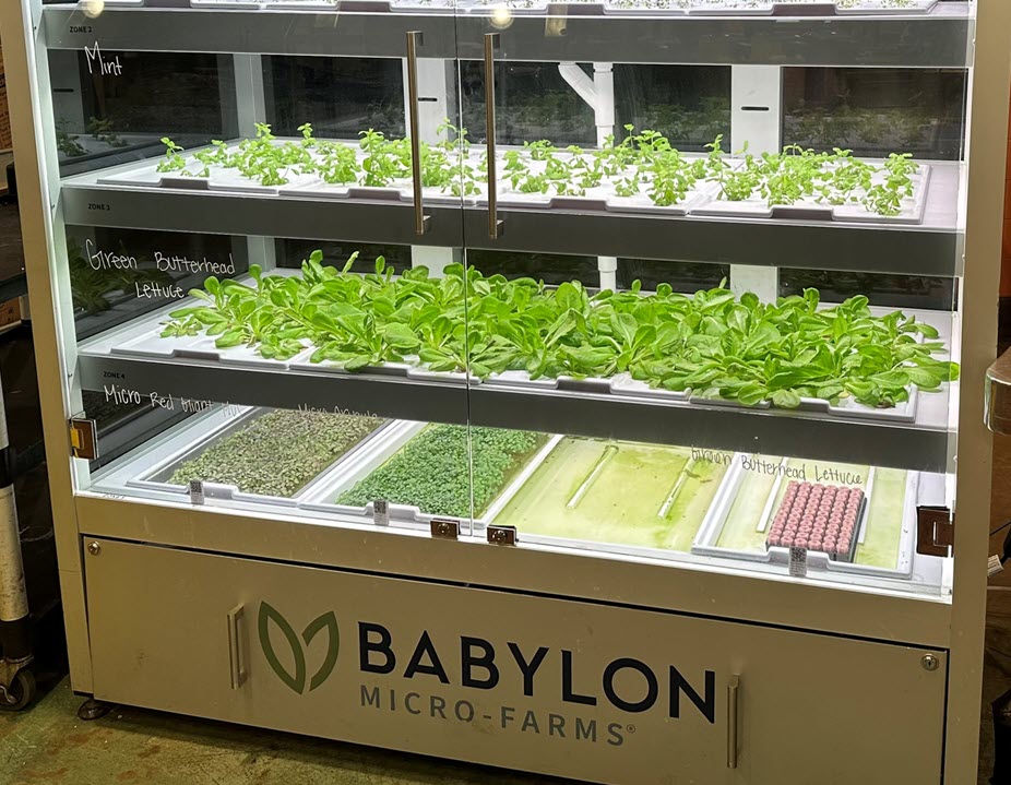 Babylon microfarms
