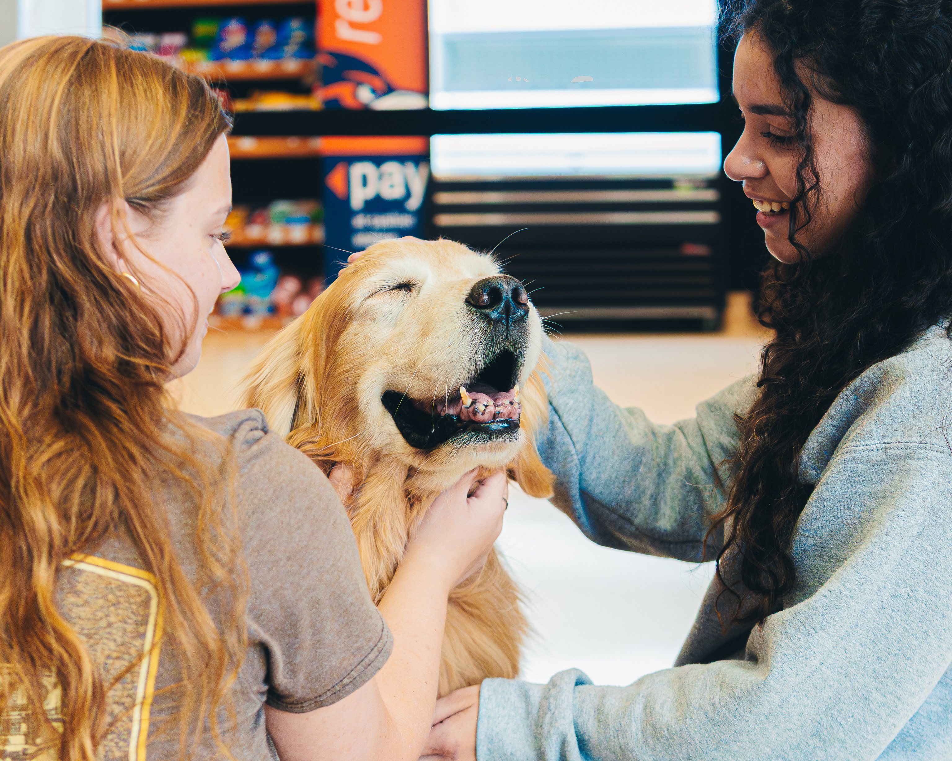 Two students petting a dog
