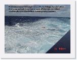 RDSC03797 * 2048 x 1536 * (937KB)