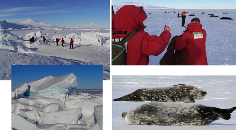 McMurdo station