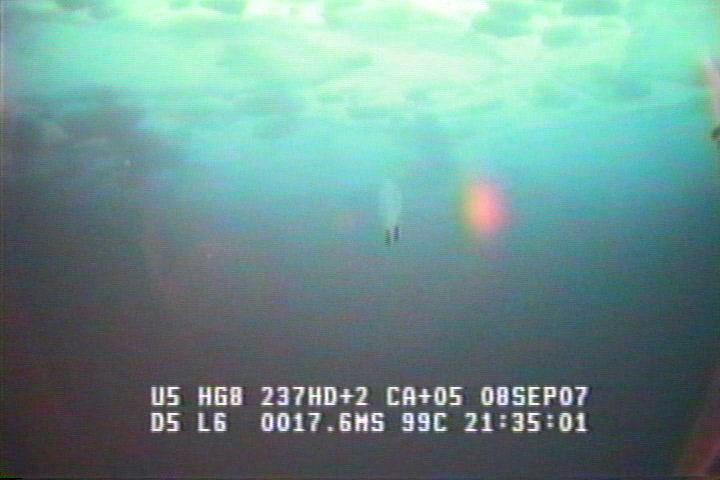 ROV1-070908_21023.jpg