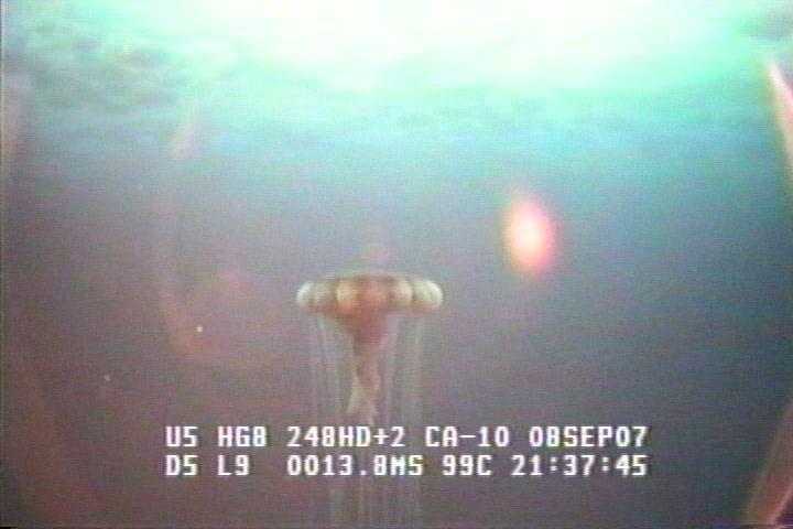 ROV1-070908_25938.jpg