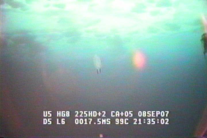 ROV1-070908_21072.jpg