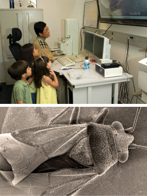 high-powered electron microscope