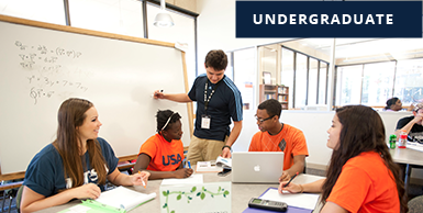 Undergraduate
