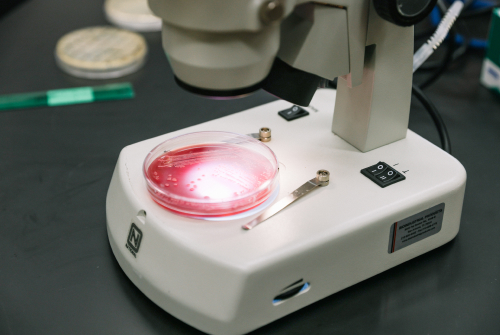 A microscope with a red light illuminating the specimen