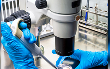 Scientist work in lab