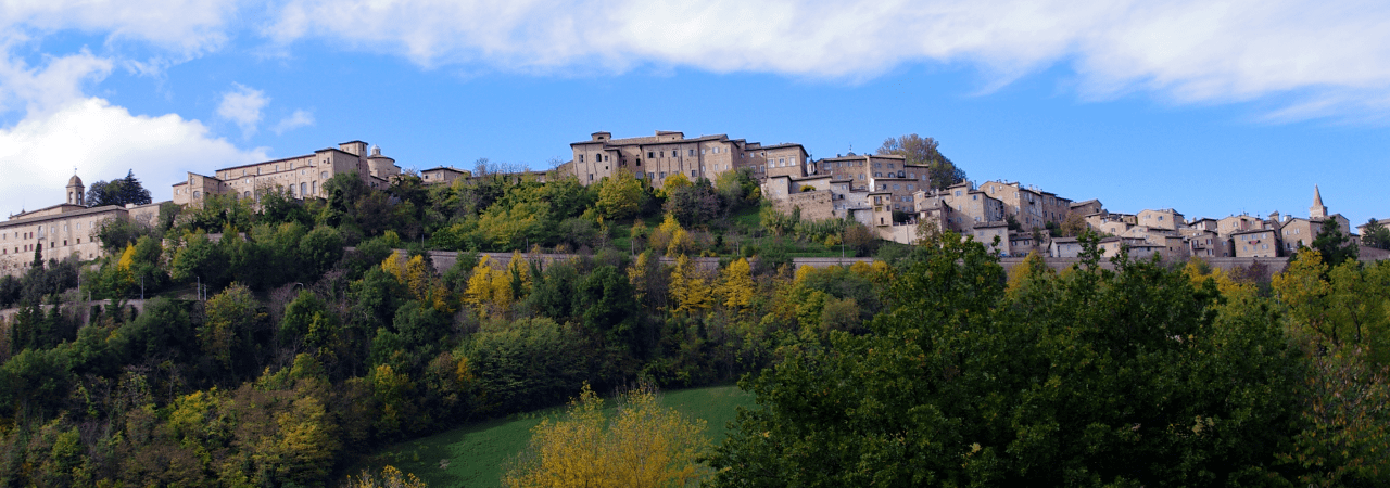 Urbino