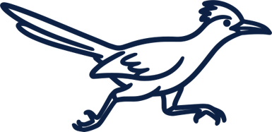 Icon of a roadrunner