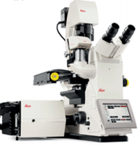 Leica TCS SPE confocal microscope