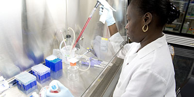 Stem Cell Core