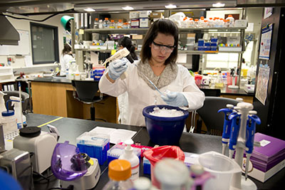 RCMI Nanotechnology and Human Health Core