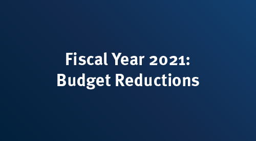 Fiscal Year 2021: Budget Reductions
