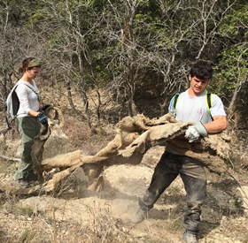 Join The Basura Bash Clean Up Project Business Affairs Utsa University Of Texas At San Antonio