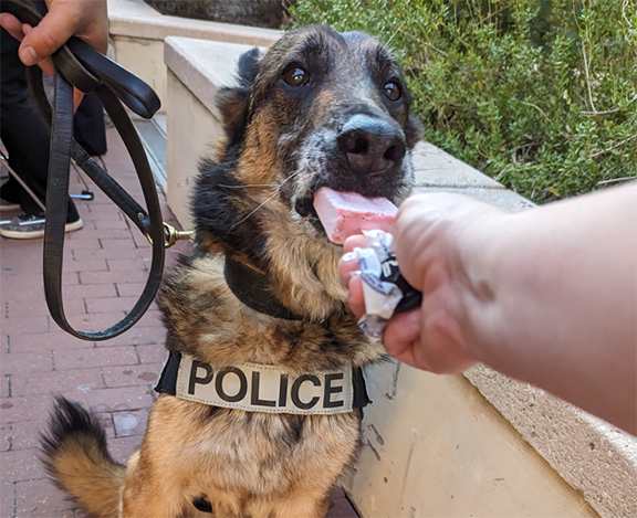 National Night Out