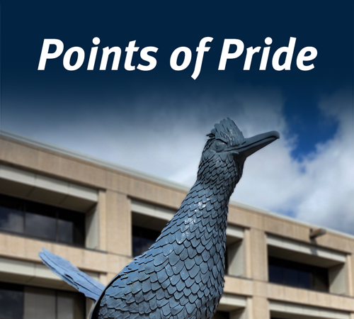 Points of Pride