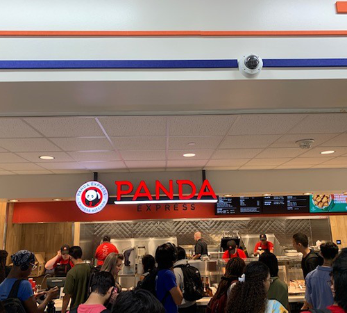 Panda