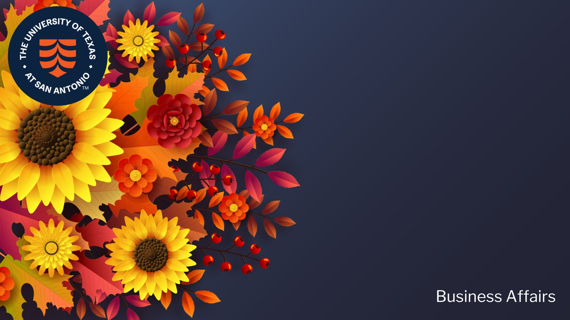 Virtual Background 3