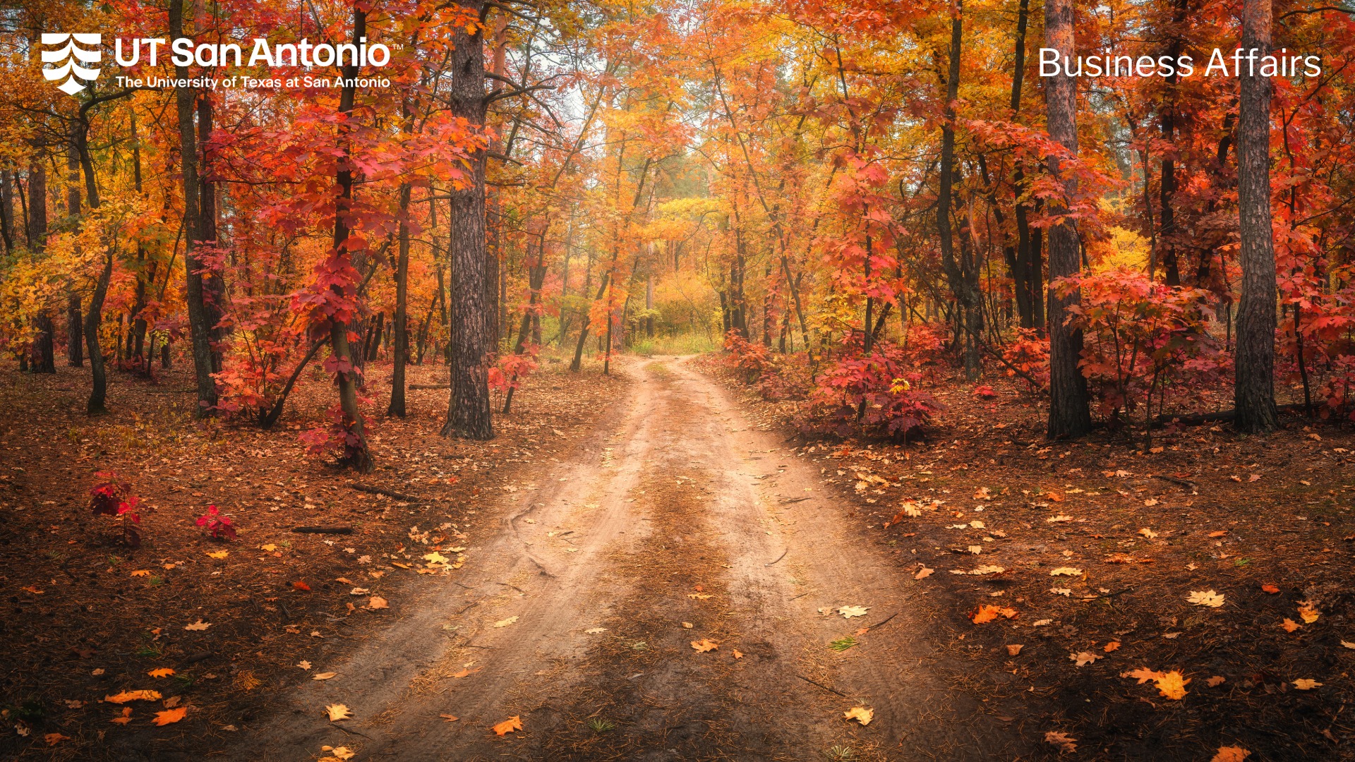 Virtual Background 4