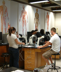 students in biology lab
