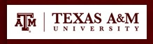 TAMU logo