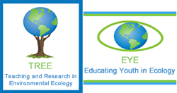 TREE/EYE logo