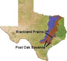 Texas map