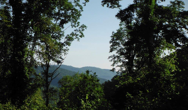 mountain