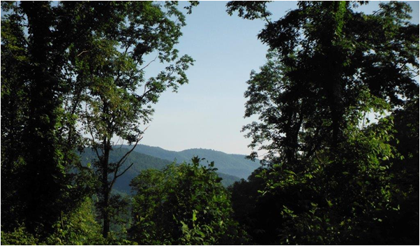 mountain