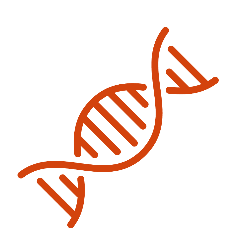 dna strand icon