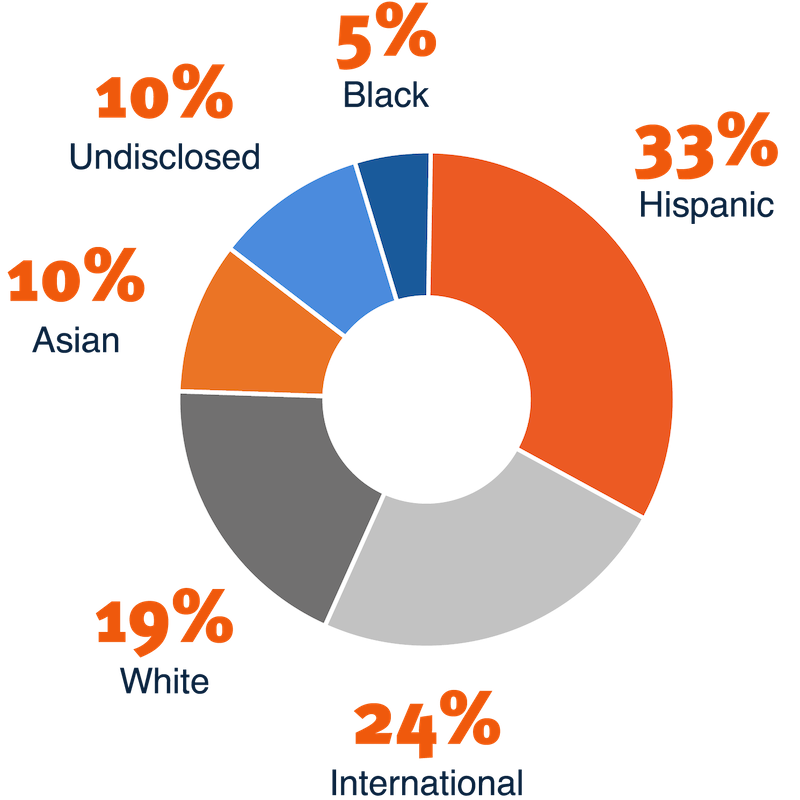 pie chart showing the diversity of new faculty: 10% Asian, 5% Black, 33% Hispanic, 19% White, 24% International, 10% undisclosed