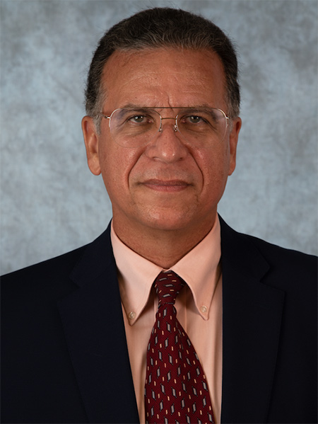 Arturo E. Schultz, Ph.D.
